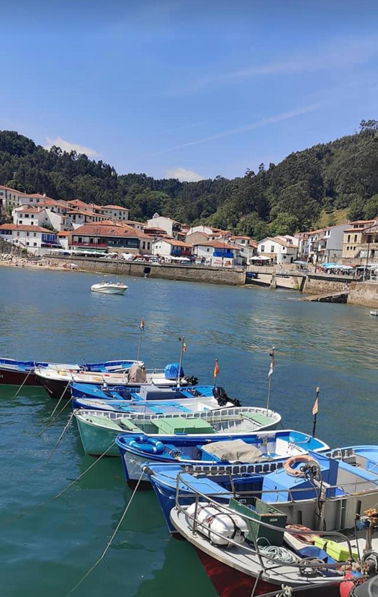Apartamento Turistico Nanielles Sella Playa - Vut 3050As Ribadesella Buitenkant foto